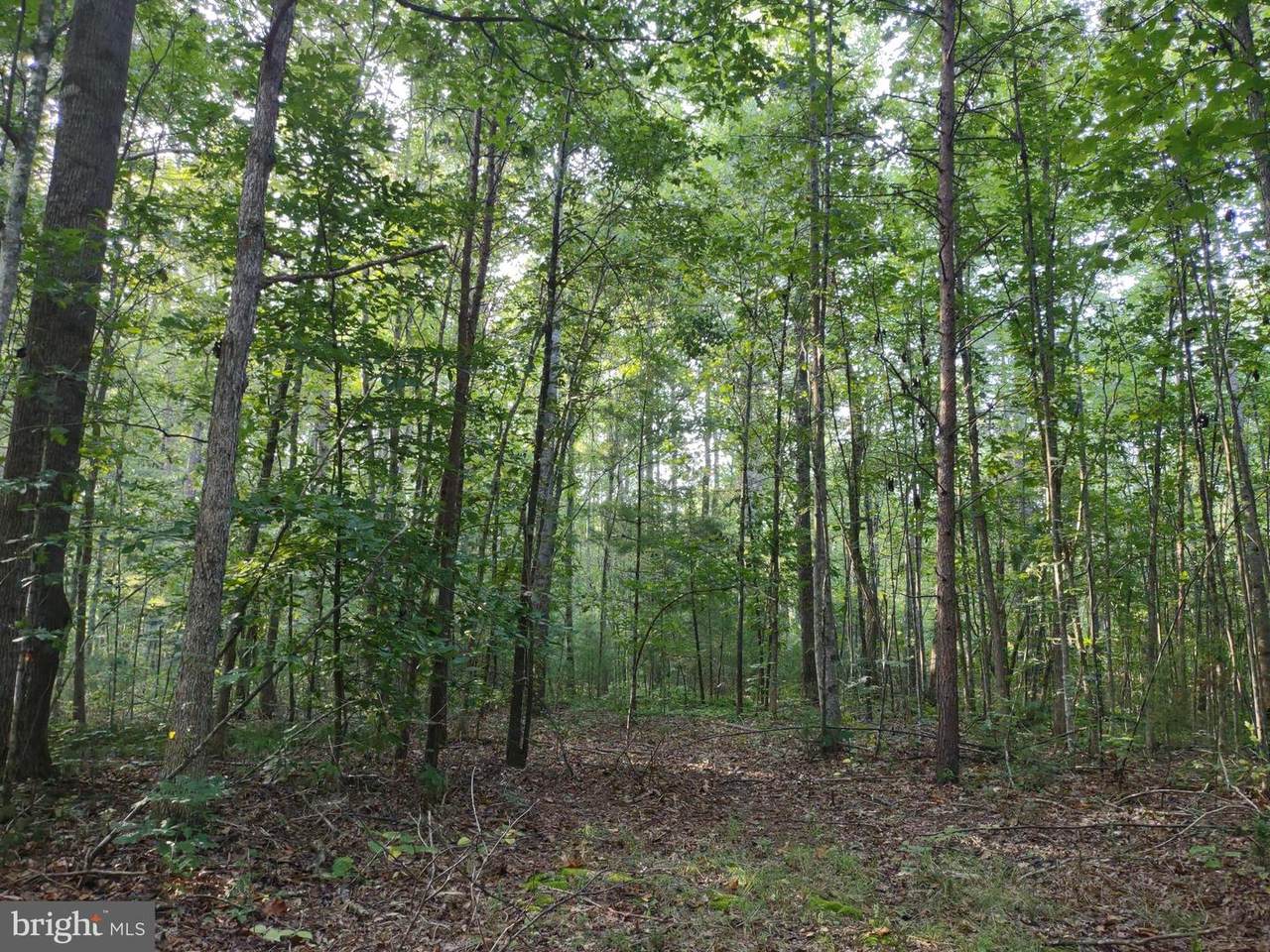 0 Sophies Pine Lane - Photo 1
