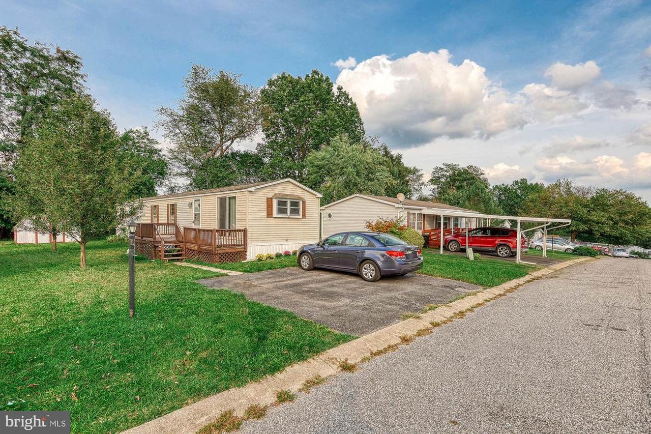 38 Cedar Street - Photo 1
