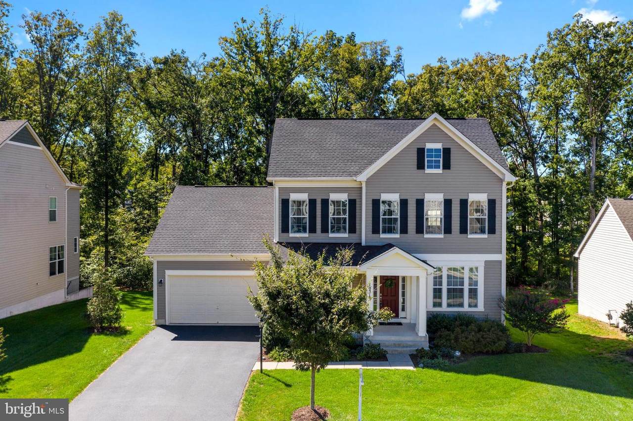 10319 Spring Iris Drive - Photo 1