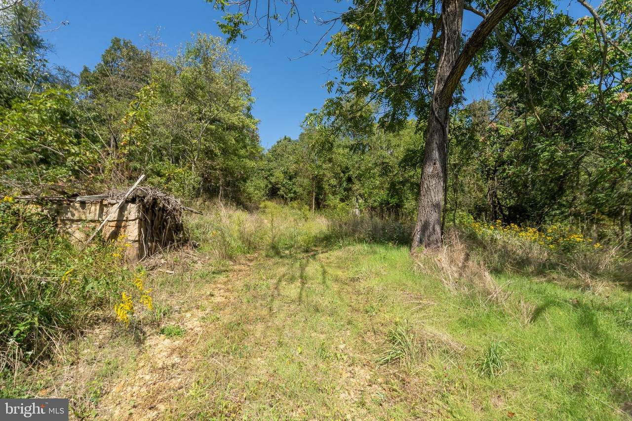 8660 Northwestern Pike - Photo 1