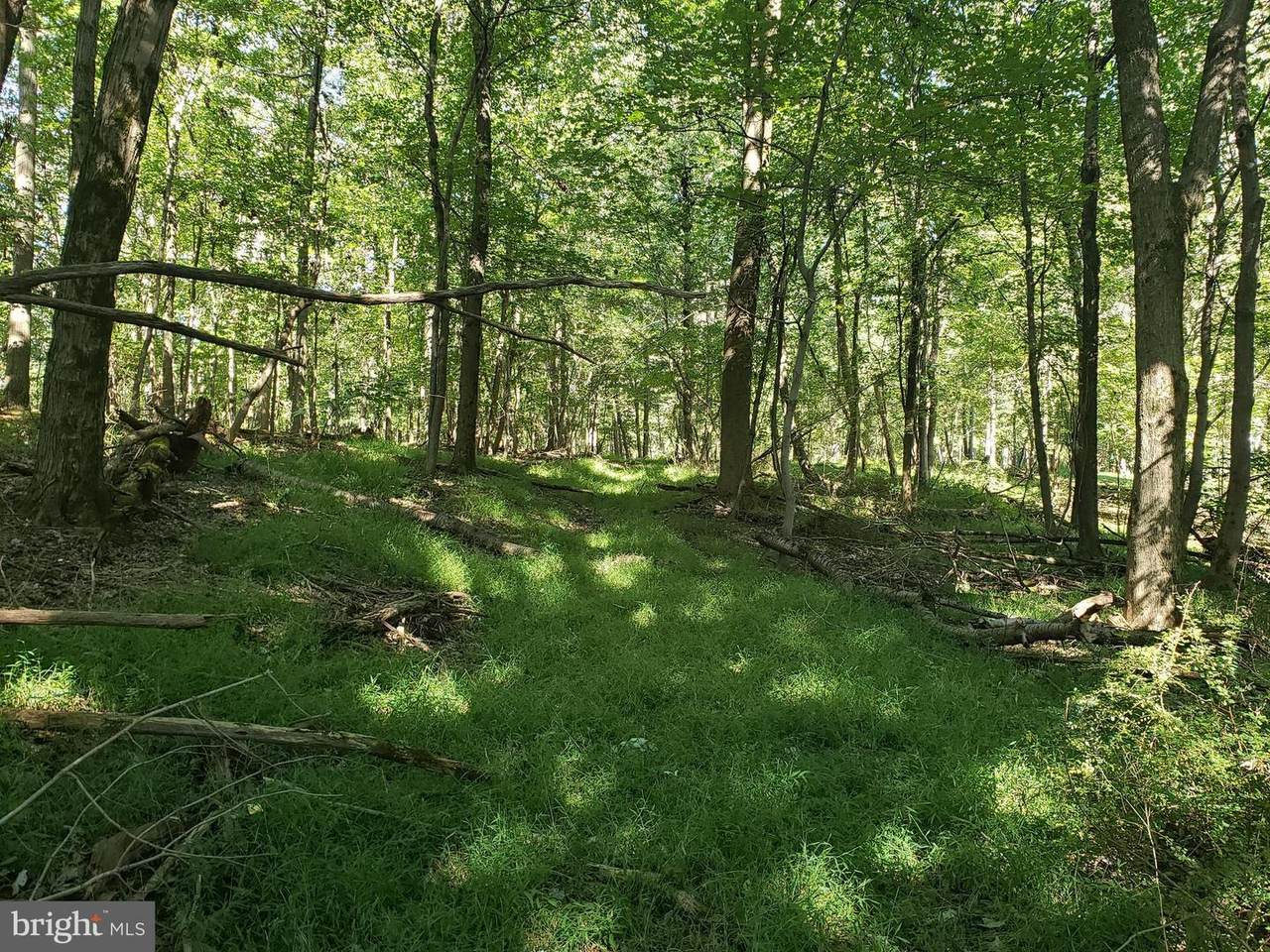 PCL #101 Watersville Road - Photo 1