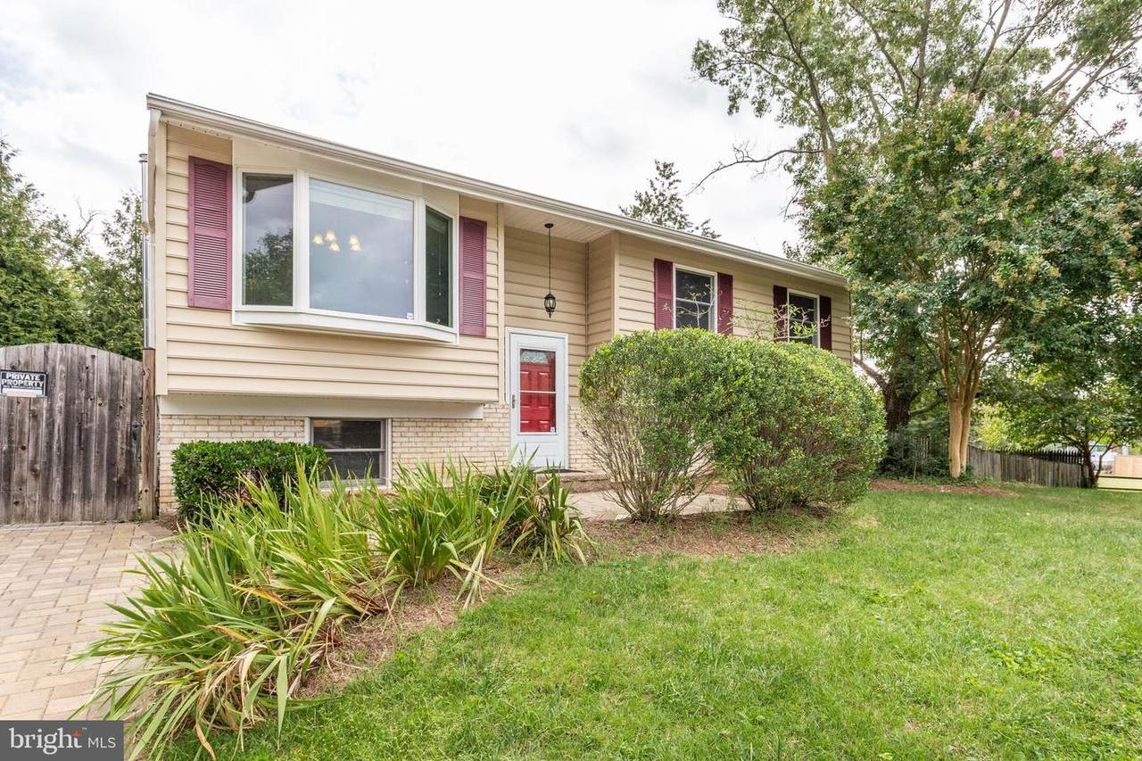 3069 Perch Drive - Photo 1