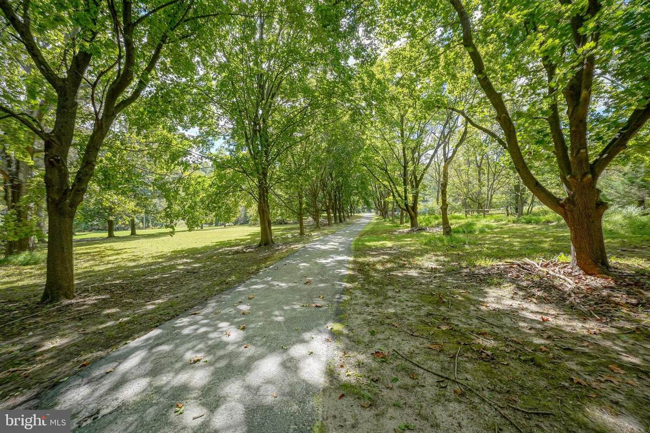 102 Creek Road - Photo 1