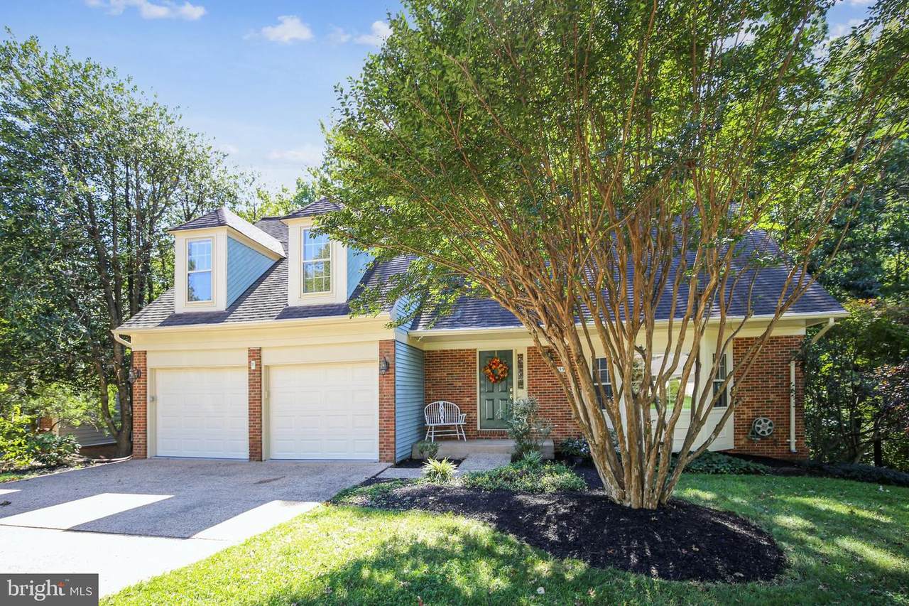 11955 Grey Squirrel Lane - Photo 1