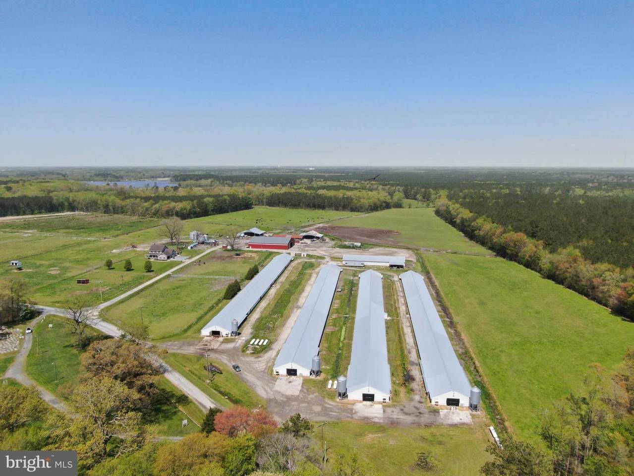 31350 Curtis Chapel Road - Photo 1