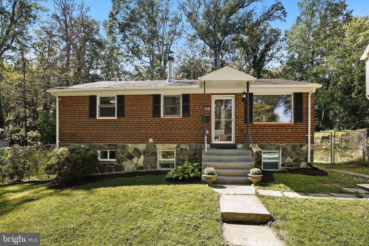11205 Ashley Drive - Photo 1