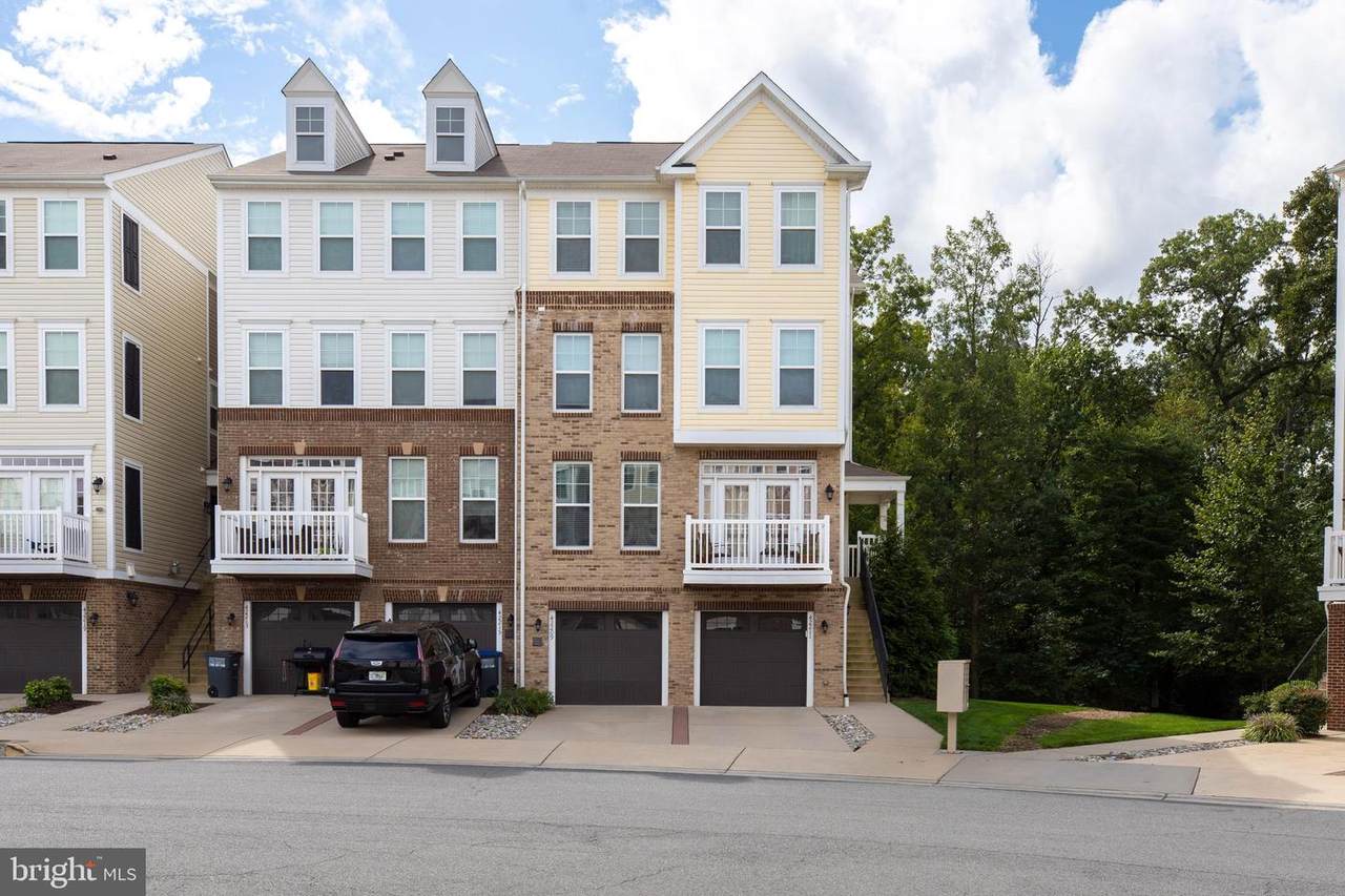 42209 Canary Grass Square - Photo 1