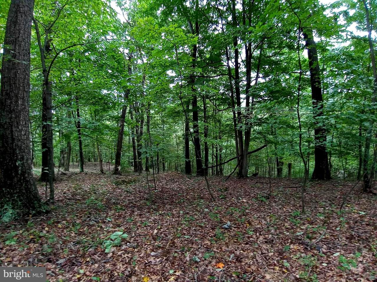 Rosebud Lane - Photo 1