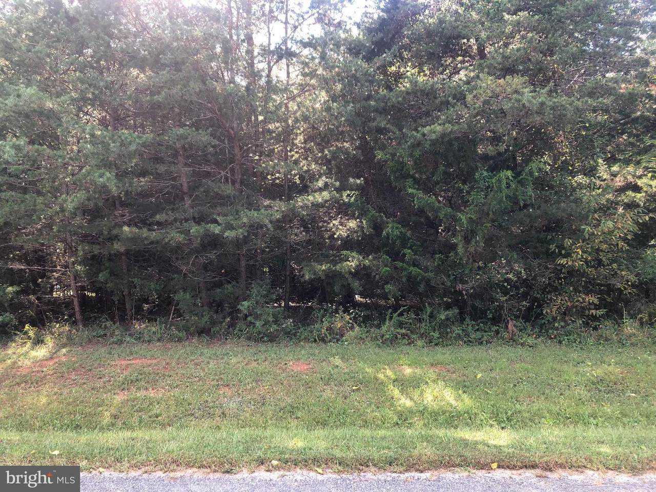 0 Palomino Drive - Photo 1