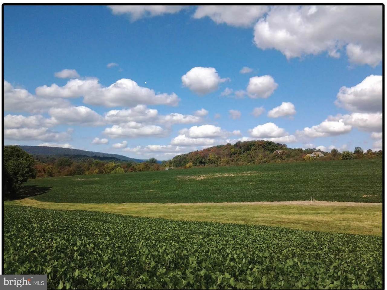 250 Waynesboro Pike - Photo 1