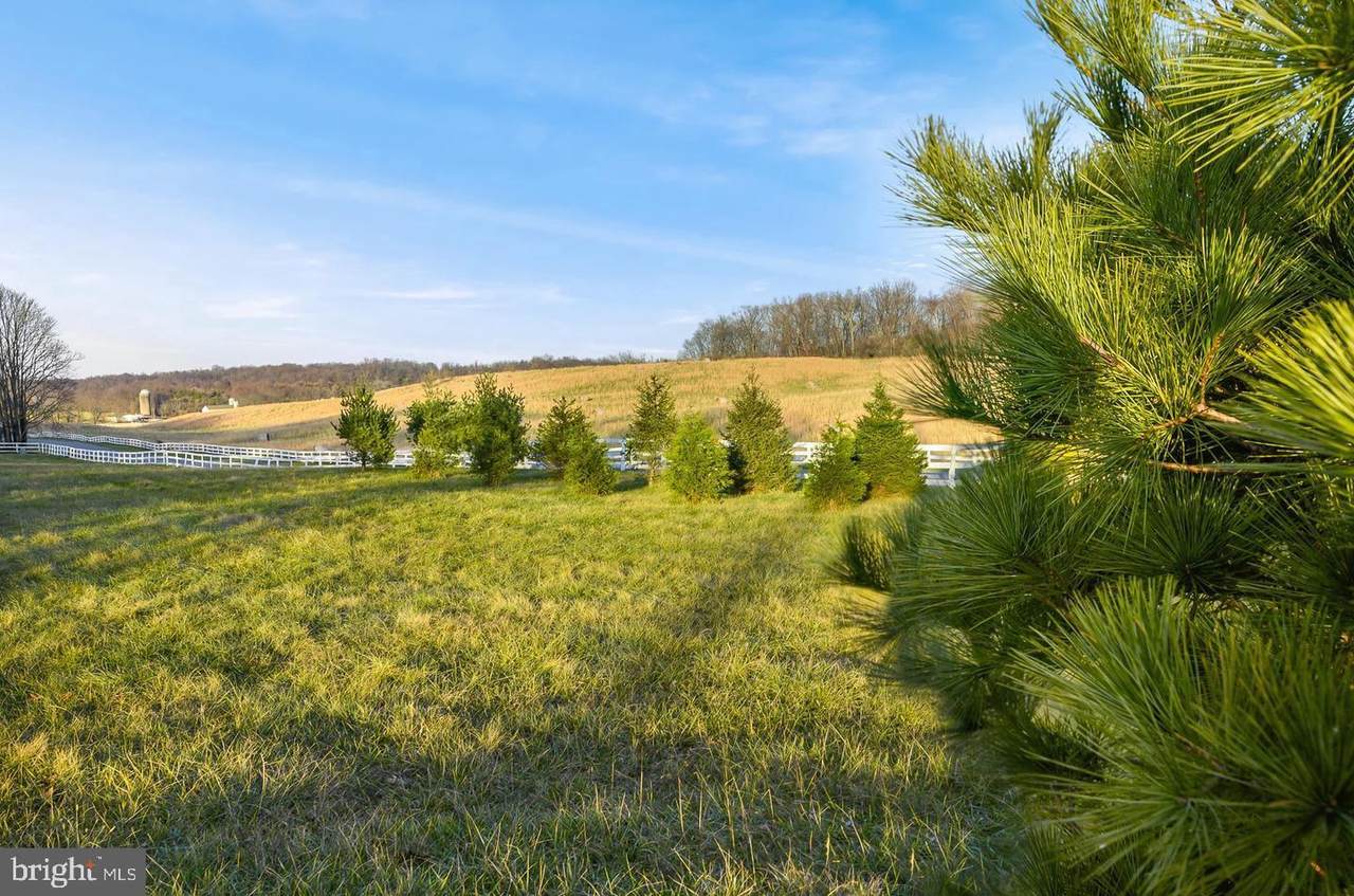 Lot 1 Glentawber - Photo 1