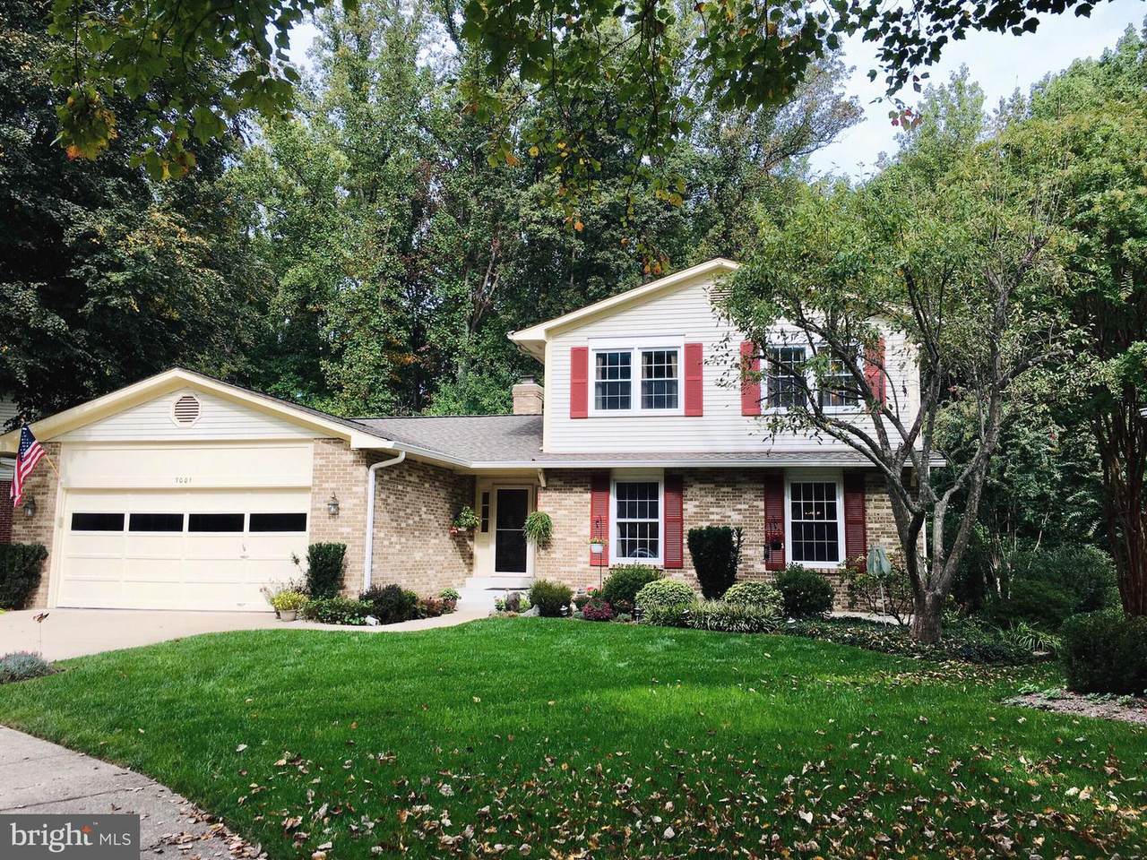 7001 Veering Lane - Photo 1