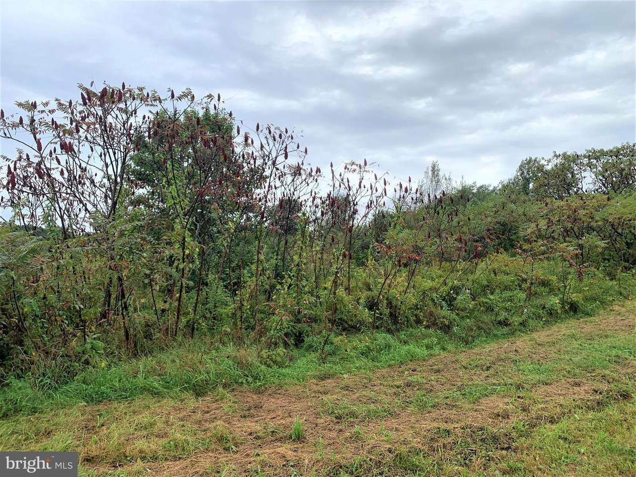 Creekview Road & Buttercup Way - Photo 1