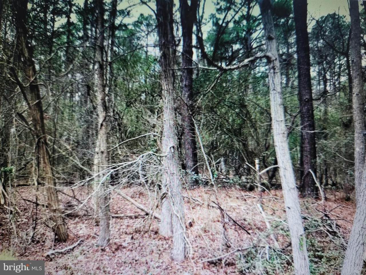 0 Swann Point Road - Photo 1