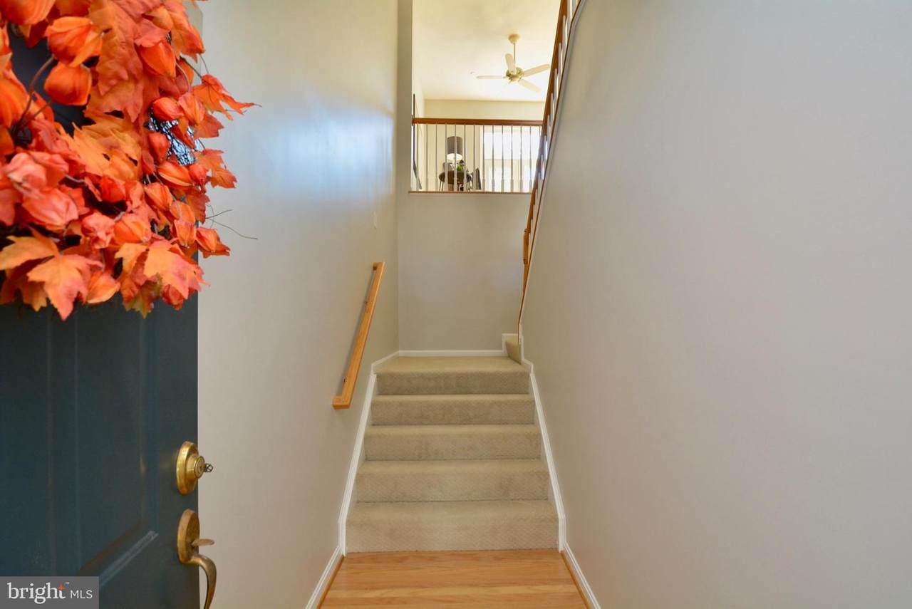 429 Clayton Lane - Photo 1