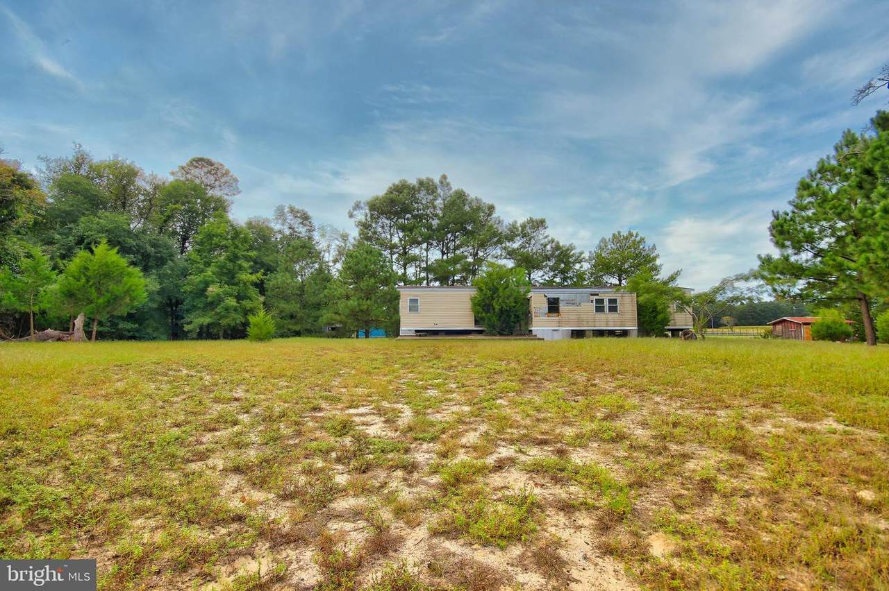 6494 Powellville Road - Photo 1