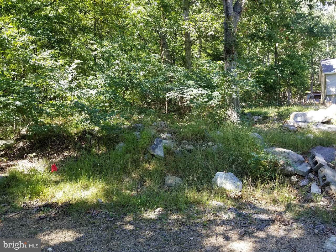 622 Opossum Trail - Photo 1
