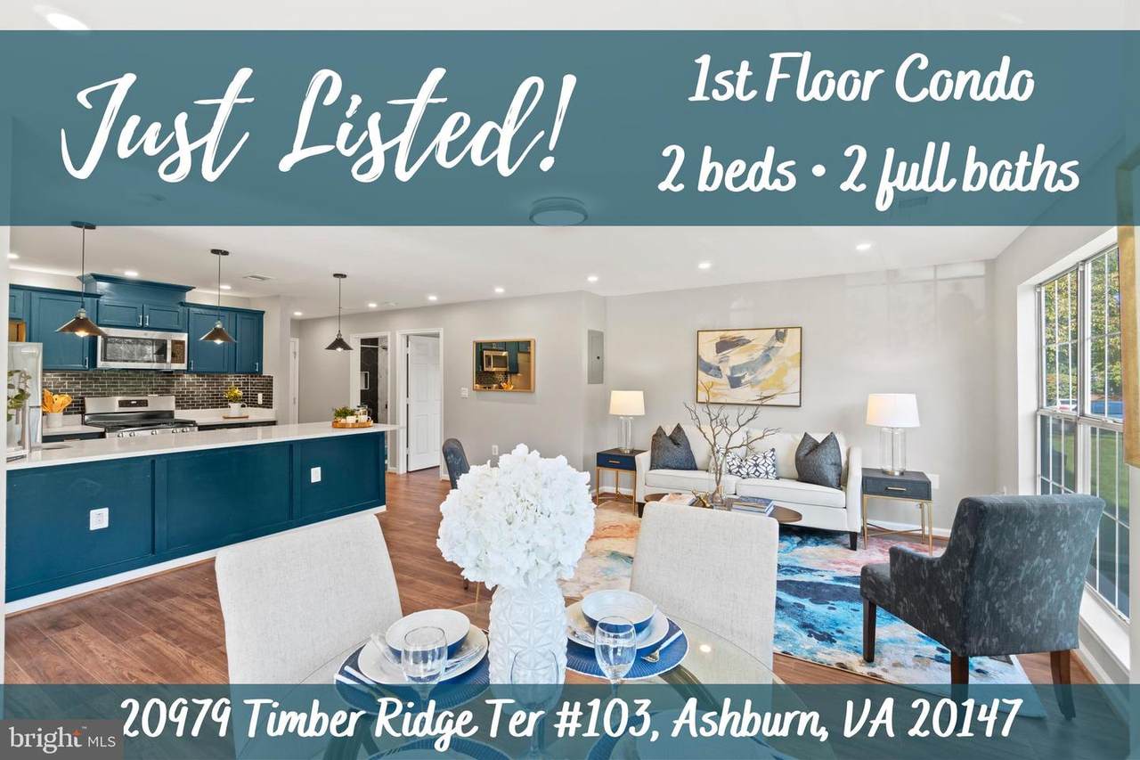 20979 Timber Ridge Terrace - Photo 1