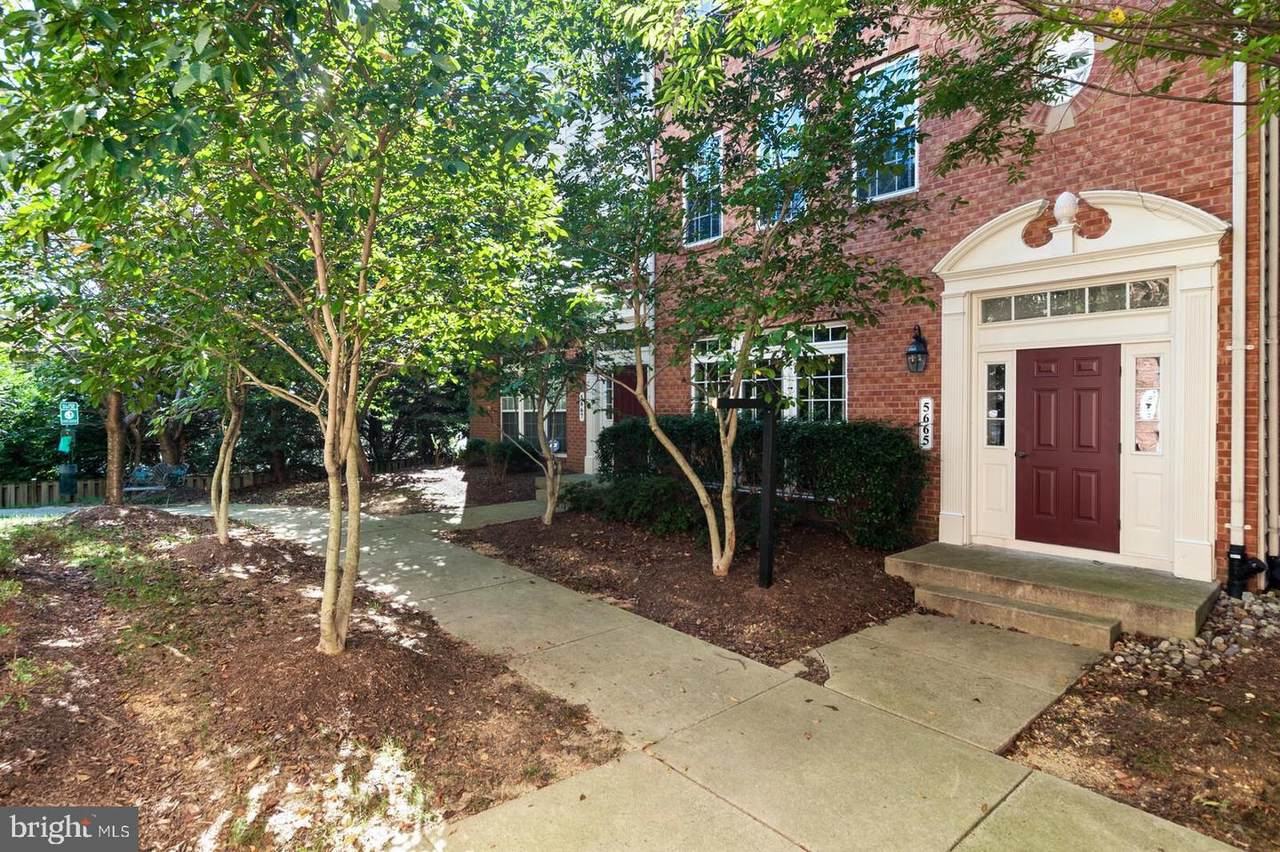 5665 Harrington Falls Lane - Photo 1
