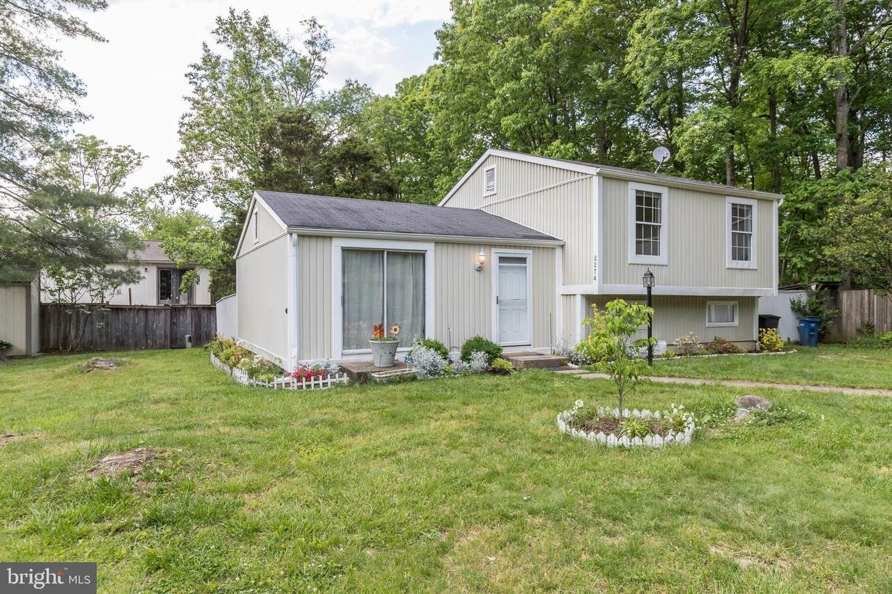 2274 Marginella Drive - Photo 1