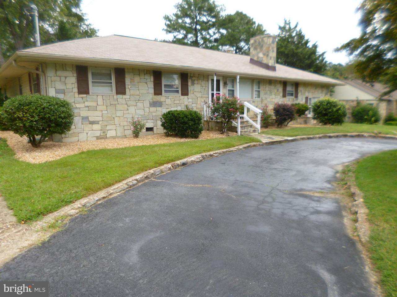 113 Forrest - Photo 1