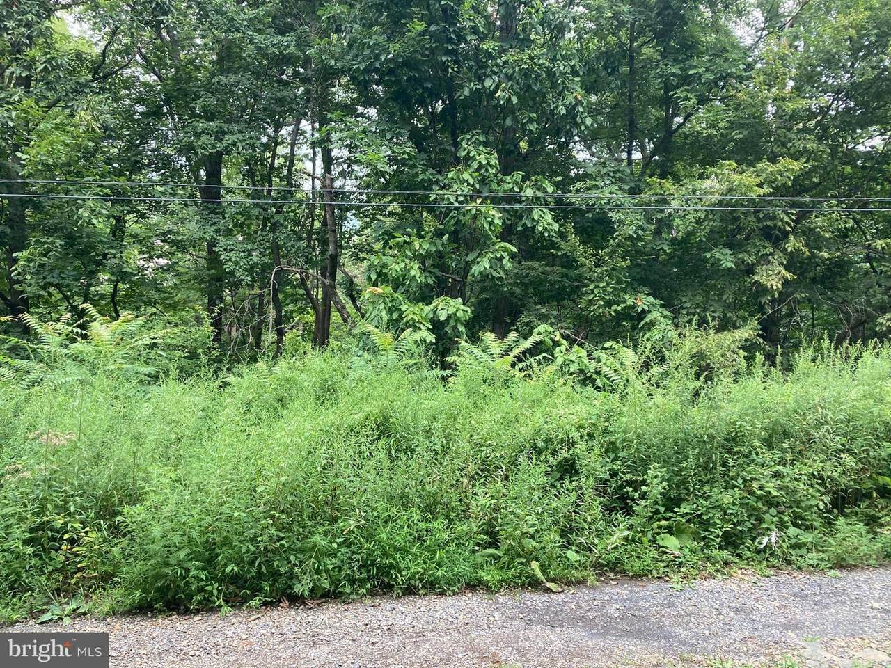 Lot 16 Valley View Drive - Photo 1