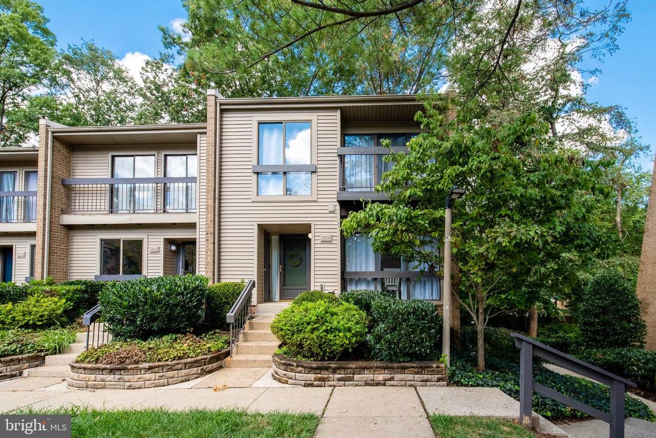 11602 Ivystone Court - Photo 1