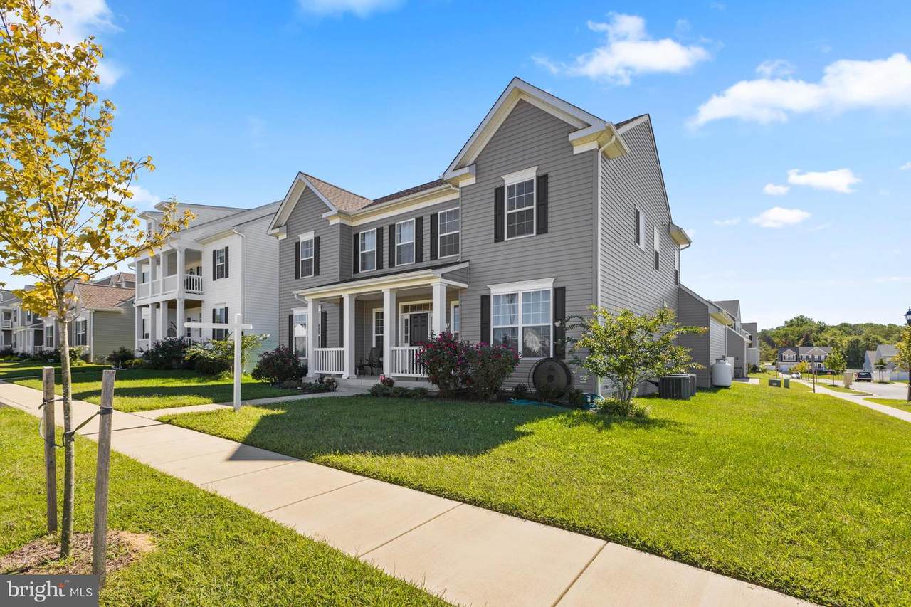 41313 Chestnut Hill Street - Photo 1