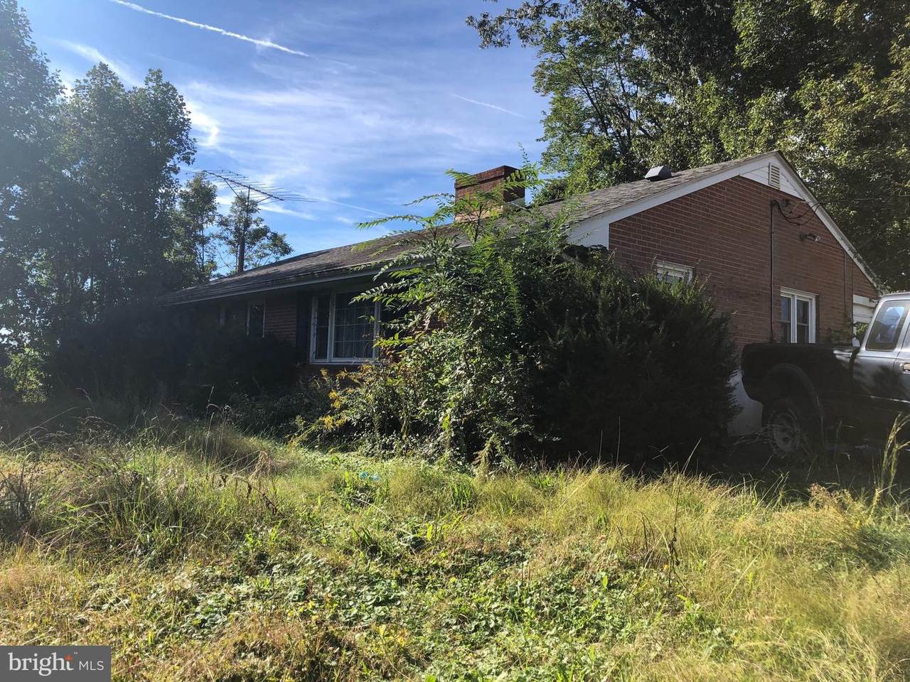 202 Orange - Photo 1