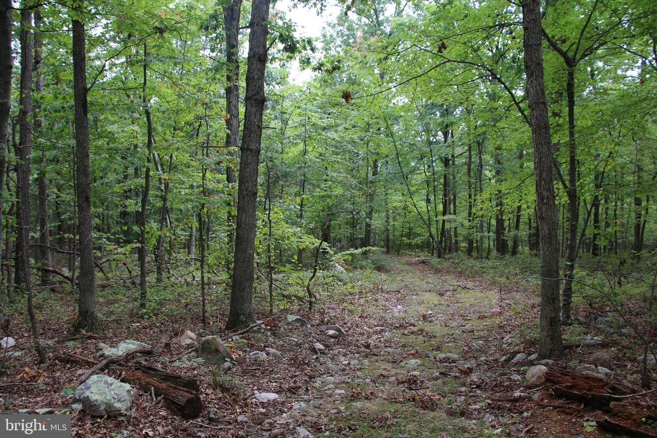 Back Road - Photo 1