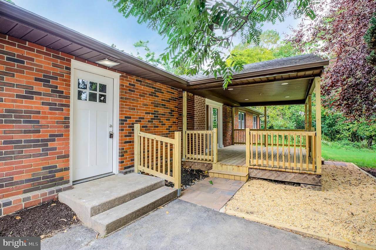 103 Haines Avenue - Photo 1