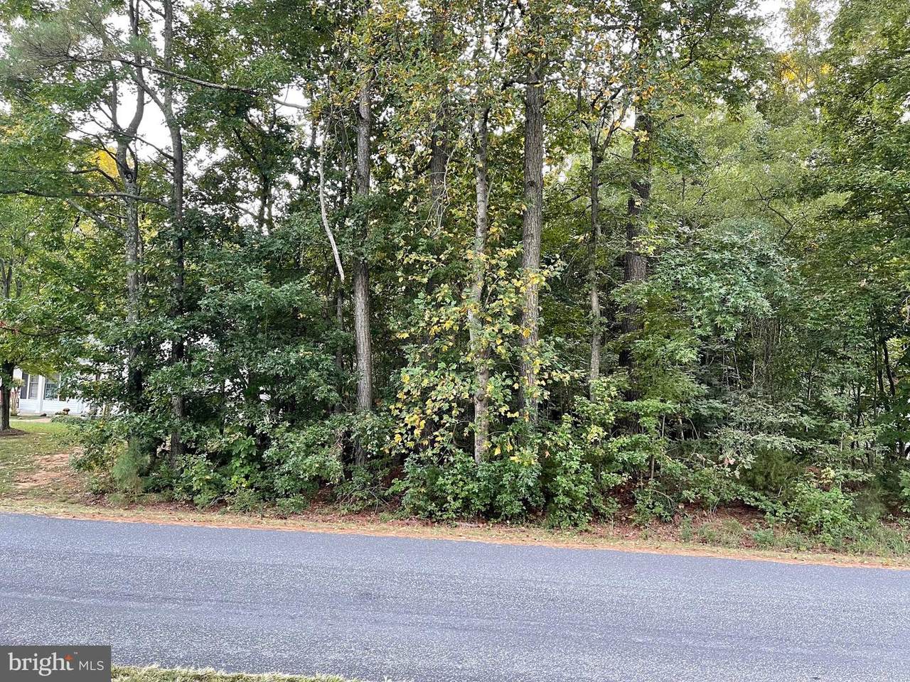 LOT #39 North Independence Drive - Photo 1