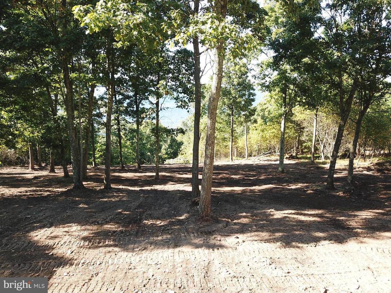 LOT 263 S Branch Mountain Rd - Photo 1