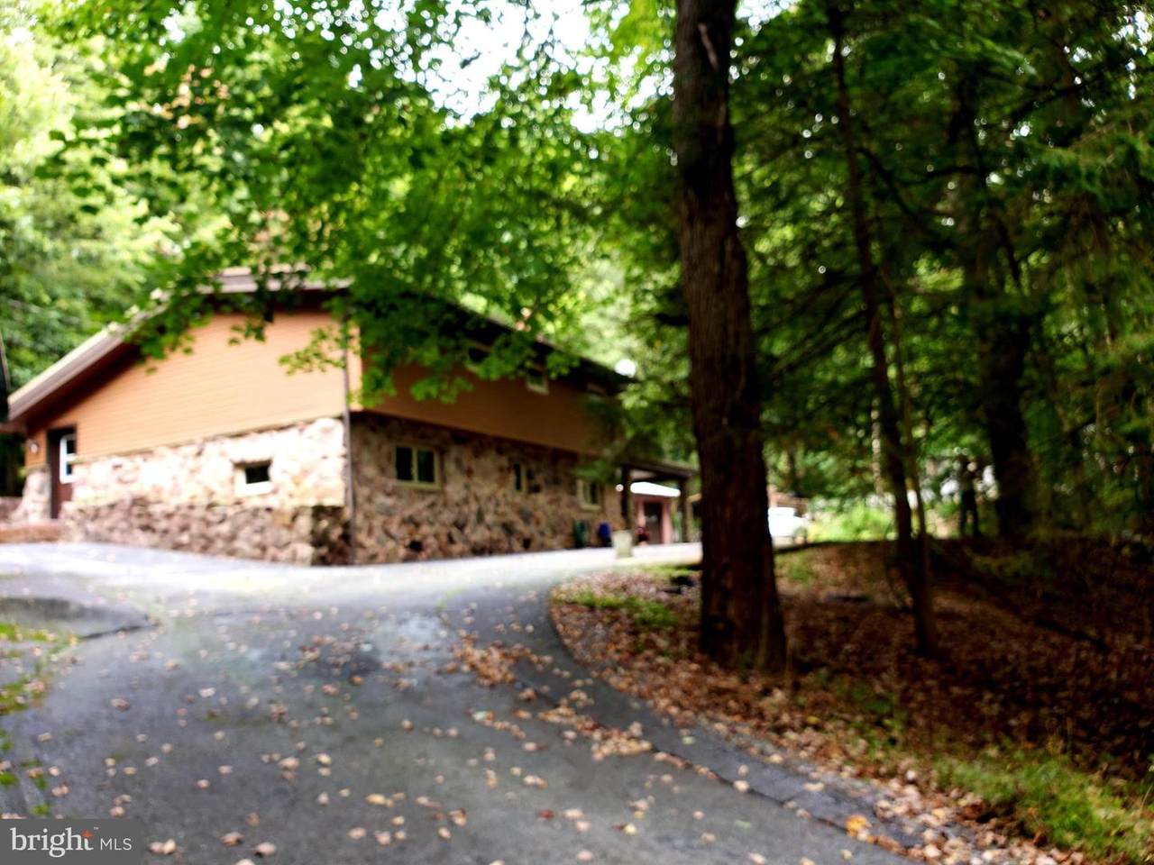 983 Mine Road - Photo 1