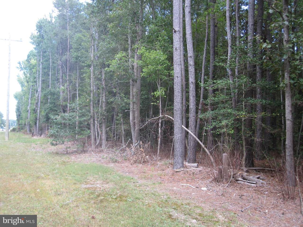 6.17 Hollyville Road - Photo 1