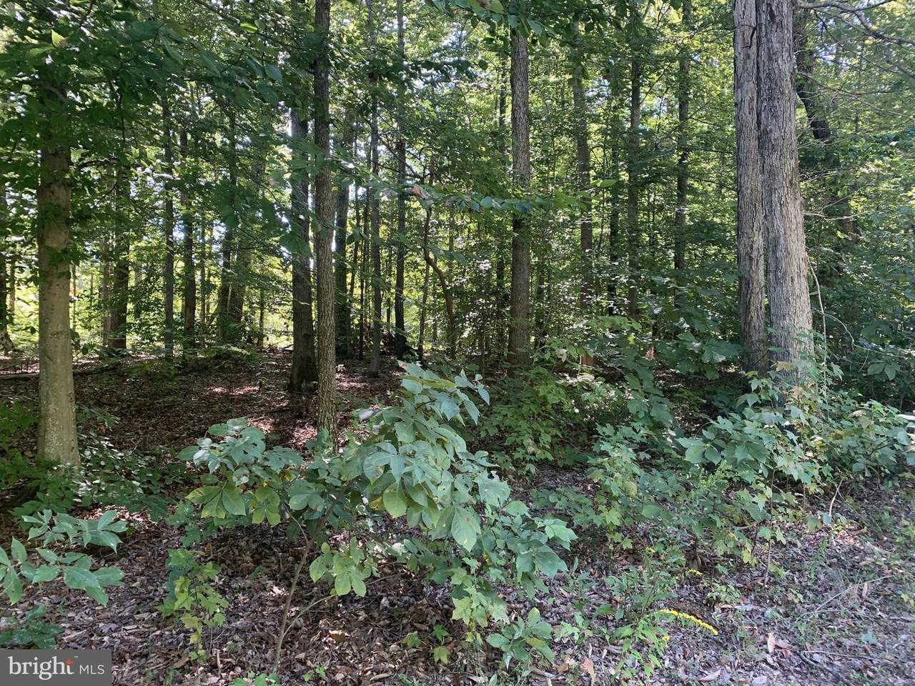 Raven Rd - Photo 1