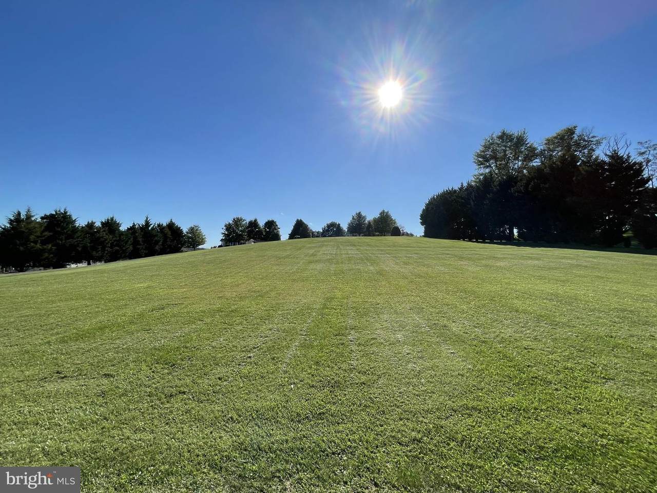 Lot 25B Lutz Road - Photo 1