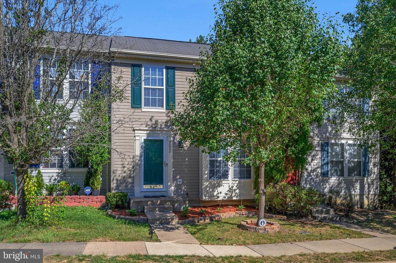7003 Plush Court - Photo 1