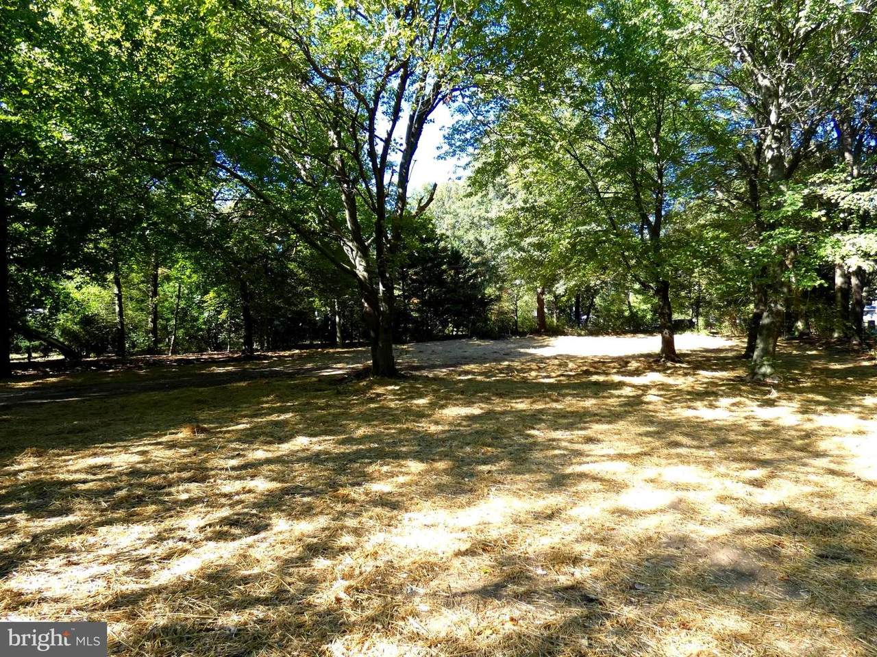 119 Wood Duck Lane - Photo 1