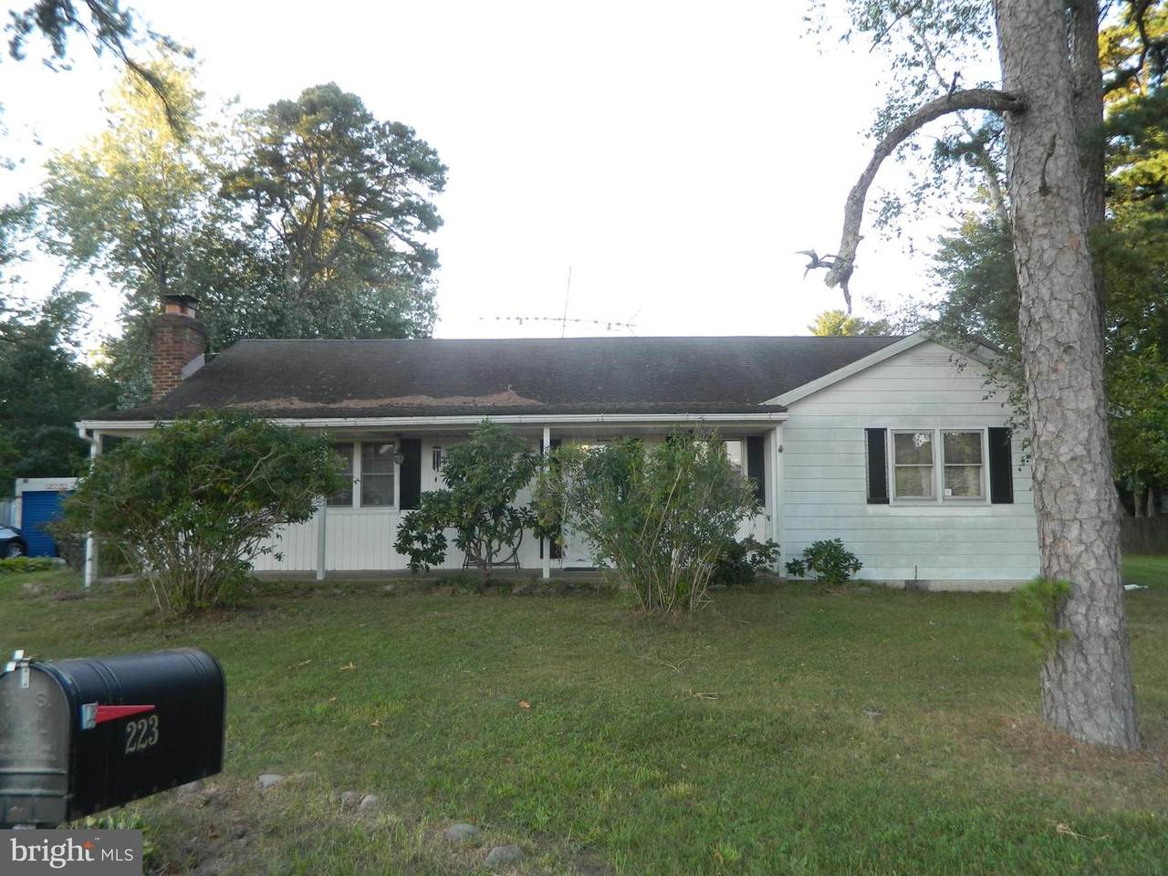 223 Central Avenue - Photo 1