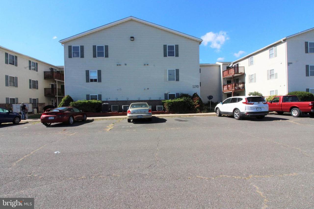 1290 Ox - Photo 1