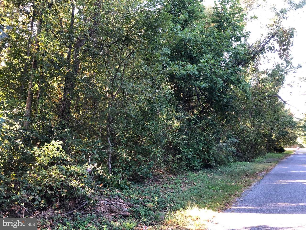 457 Bruno Lane - Photo 1