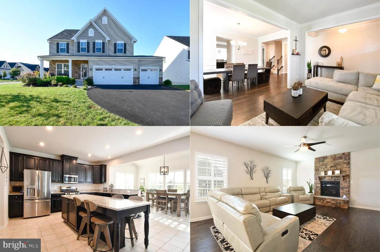 12888 Hoadly Manor Drive - Photo 1