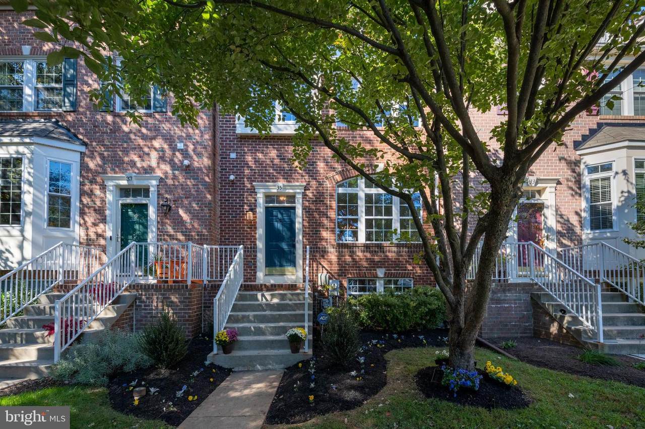 35 Ferns Court - Photo 1