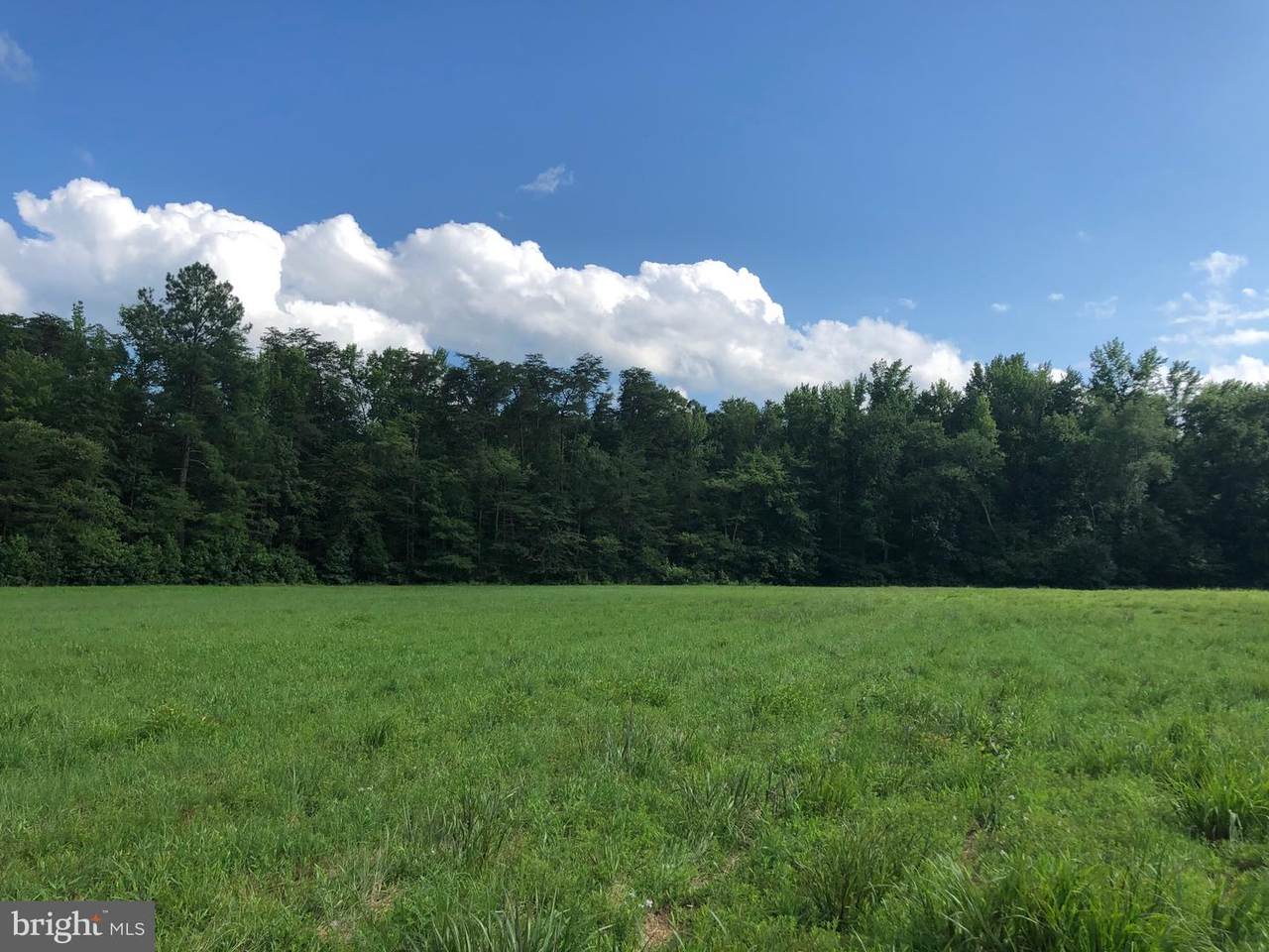 Lot White Oak Road - Photo 1