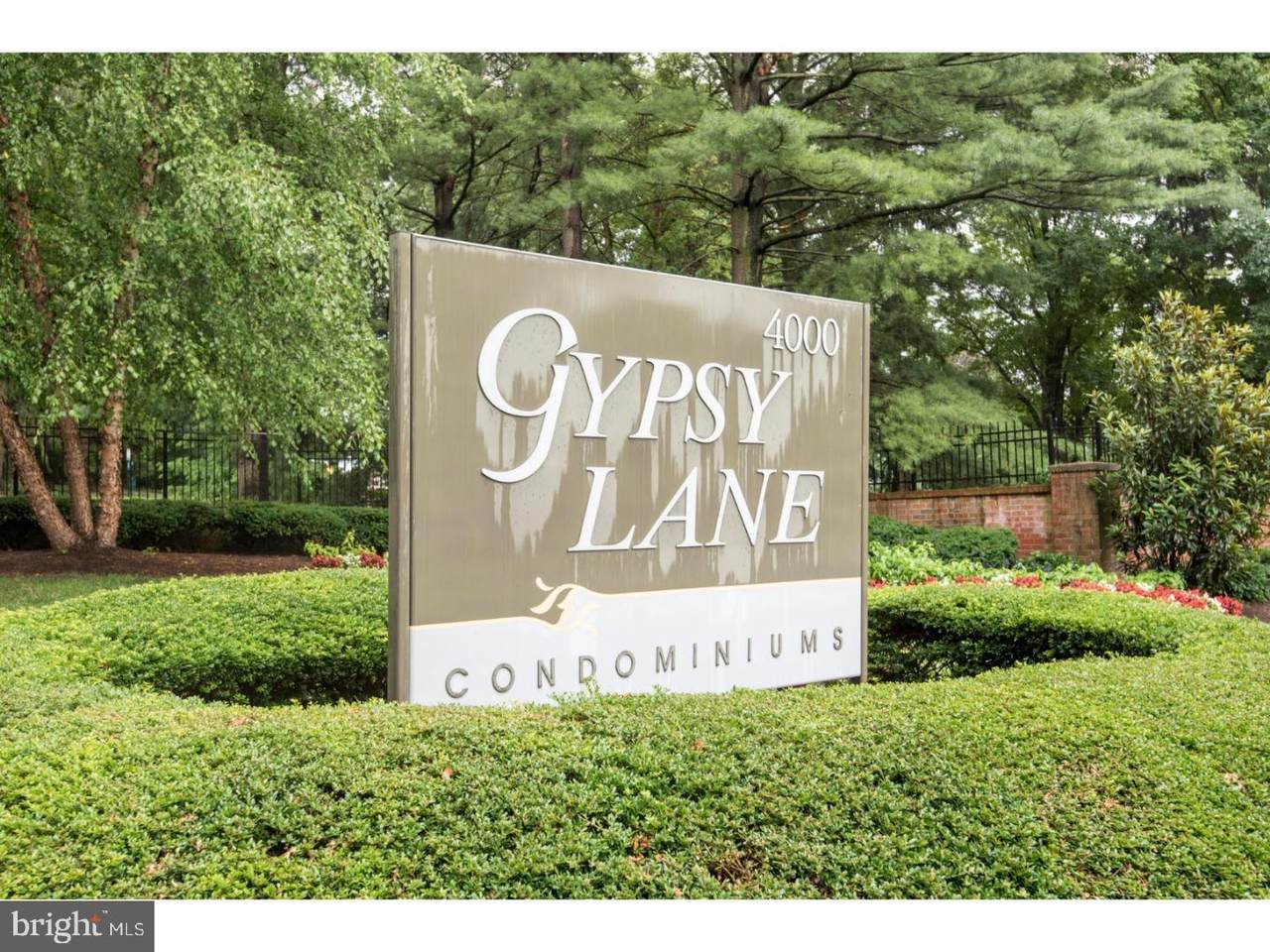 4000 Gypsy Lane - Photo 1