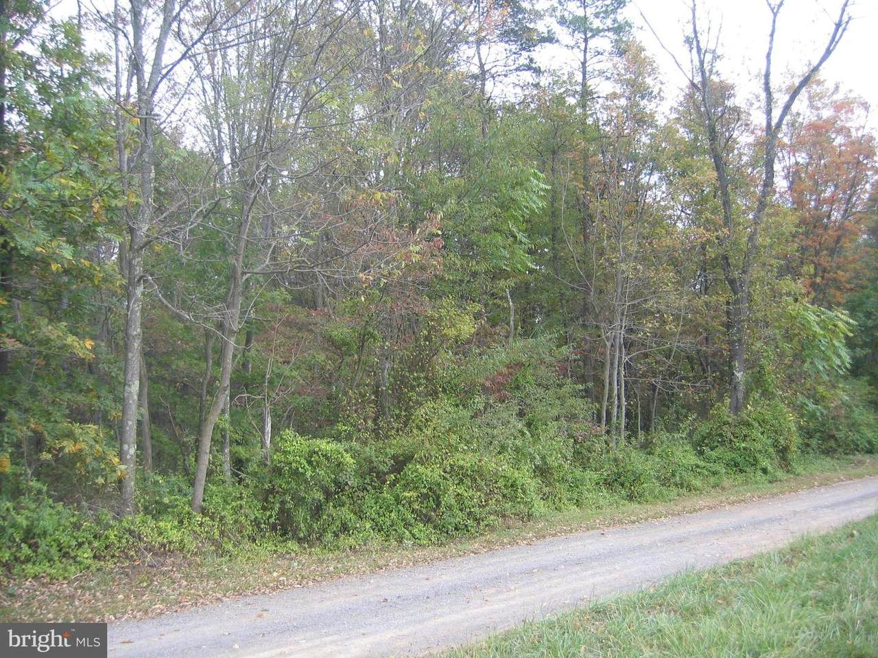 Lou's Pony Road - Photo 1