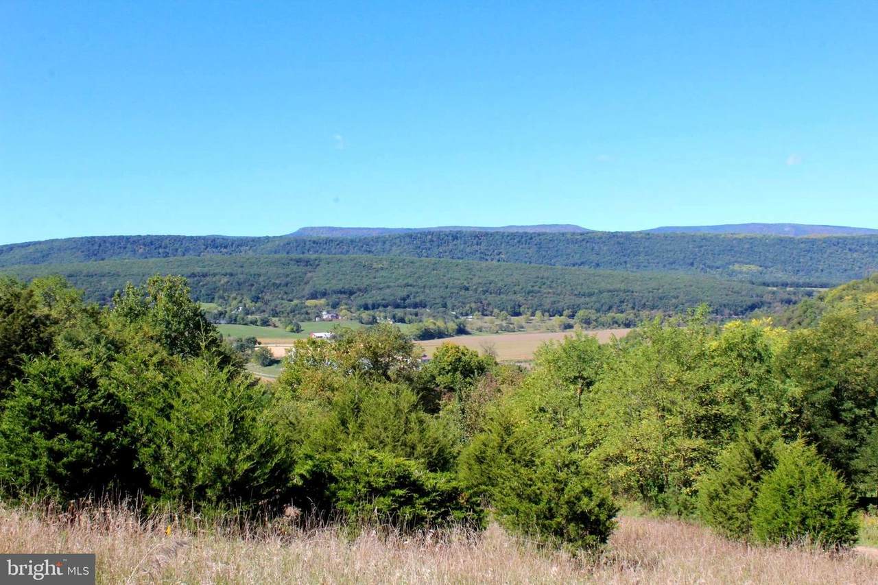 24 +/- acres off Saratoga Drive - Photo 1