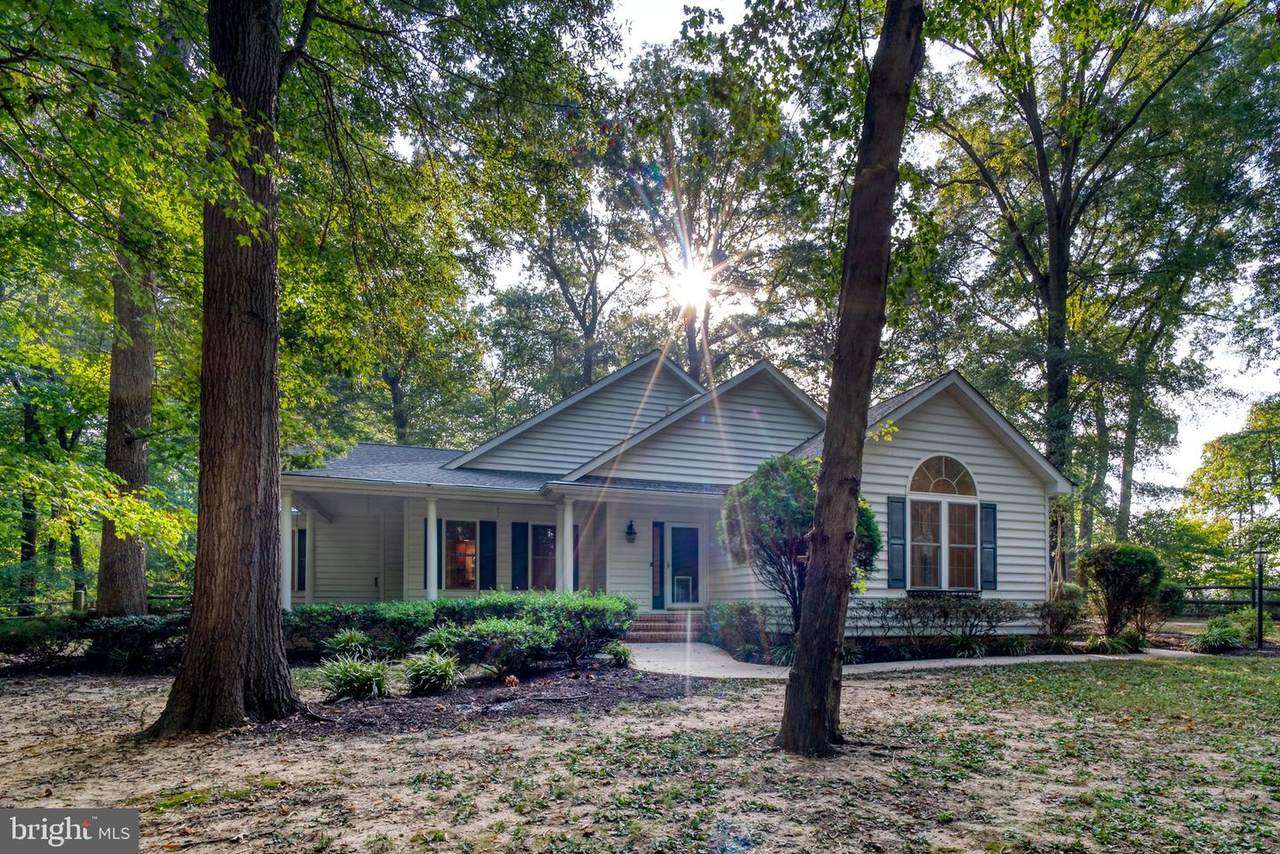 9540 Fairlee Road - Photo 1