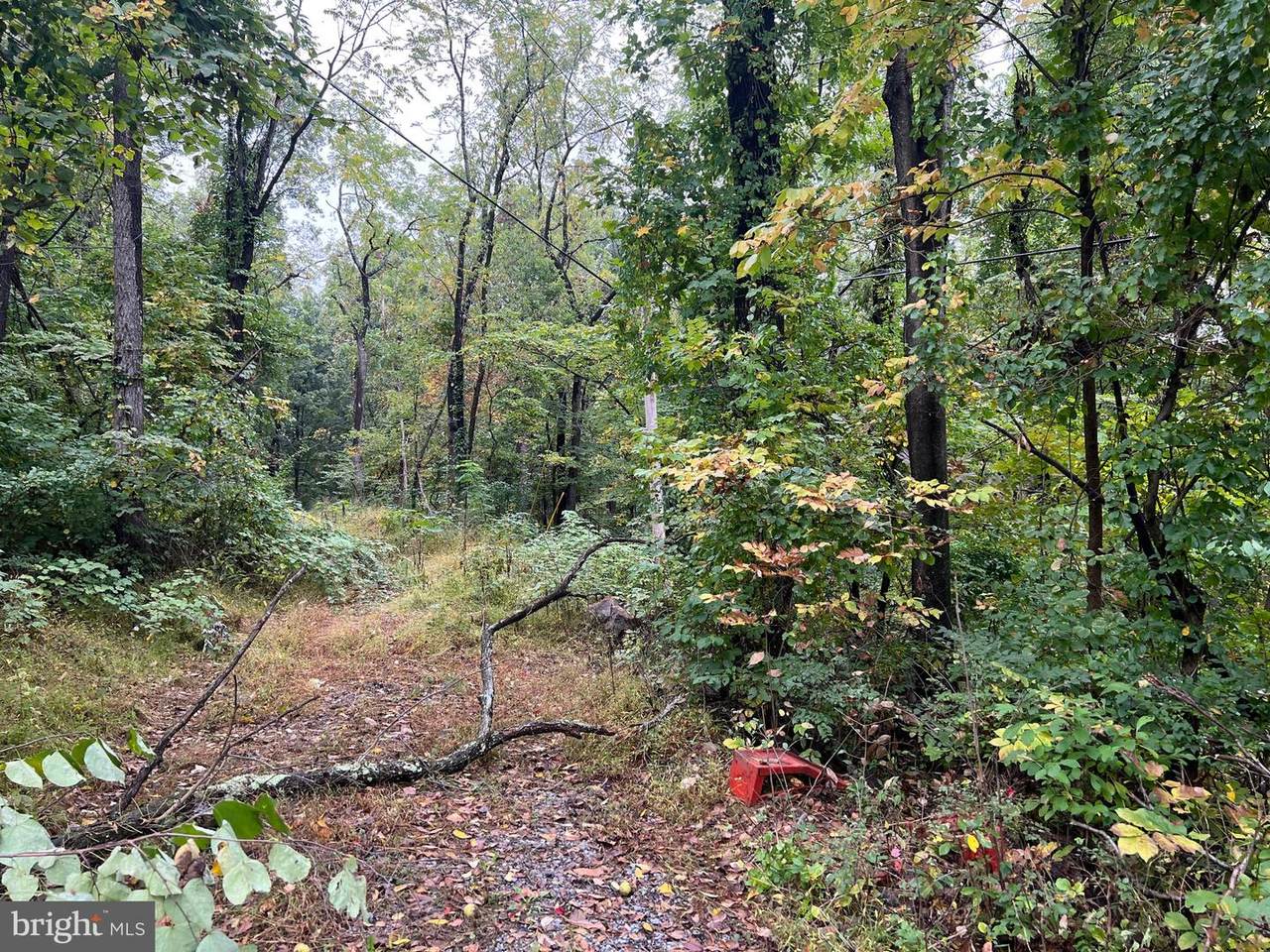 0 Bragg Drive - Photo 1